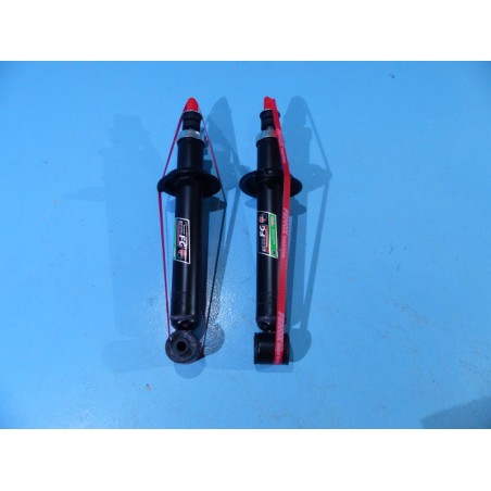 Rear shocks for Samara x2