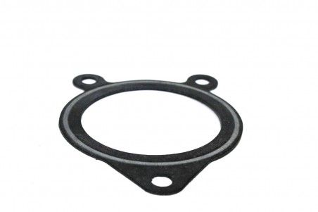 Butterfly valve seal