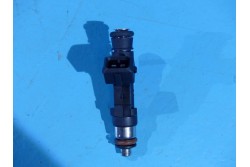 Bosch " Long" Injector"